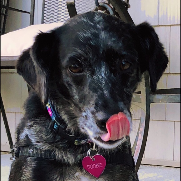 Meet your Posher, Leslie - Picture 1 of 1